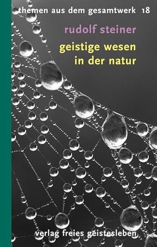 Geistige Wesen in der Natur: 12 Vorträge (Rudolf-Steiner-Themen-Taschenbücher) von Freies Geistesleben GmbH